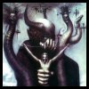 to-mega-therion-54f7525555ff3.jpg