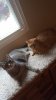 20180721_163954.jpg