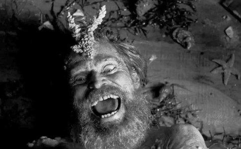 1762043683575.jpeg 1762043683575.jpeg