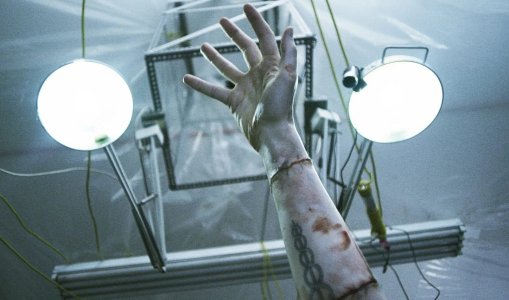 1762043976209.jpeg 1762043976209.jpeg