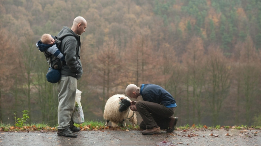 1762583255429.png 1762583255429.png