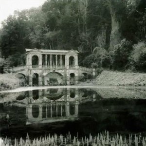 Opeth Morningrise.jpg