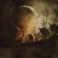 forestdrums