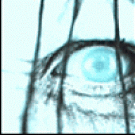 illomens